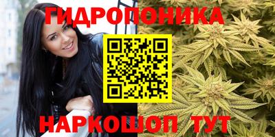 apvp Камышлов