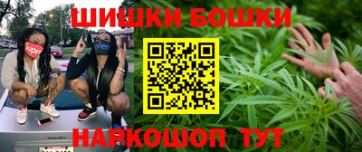 apvp Камышлов