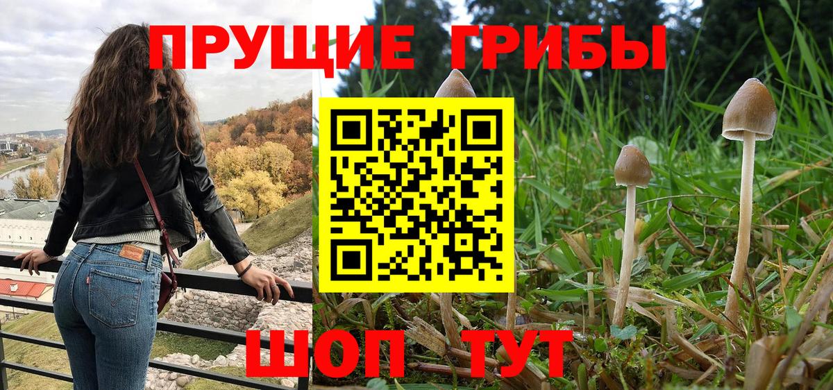 Галлюциногенные грибы мухоморы  Вход с VPN  Октябрьский  Галлюциногенные грибы мицелий 