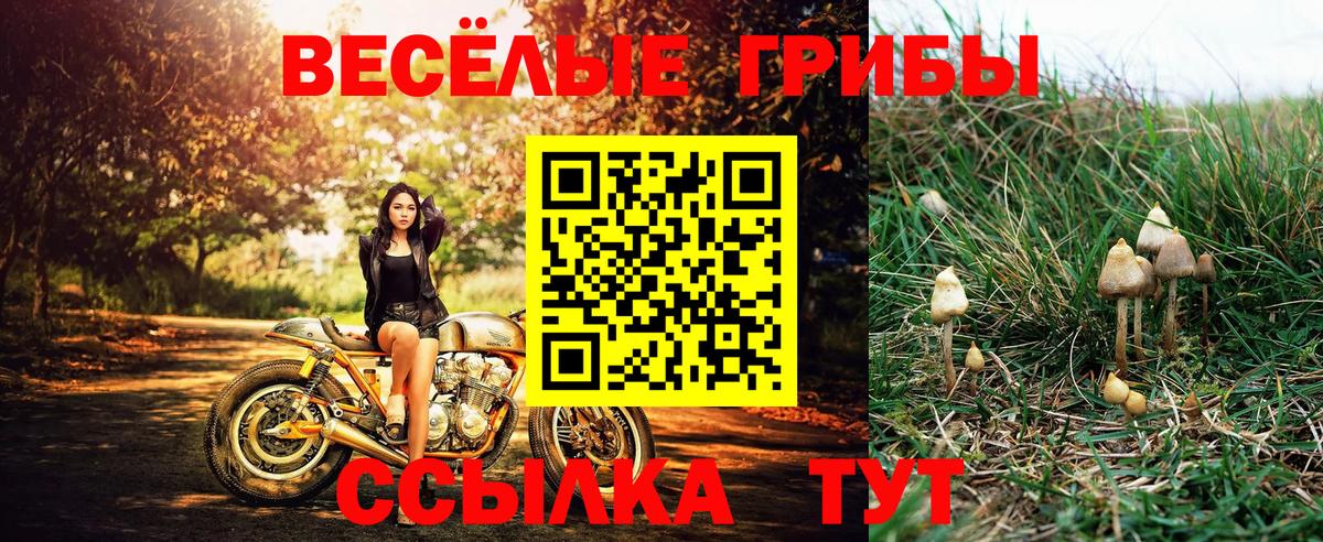 Галлюциногенные грибы прущие грибы Октябрьский